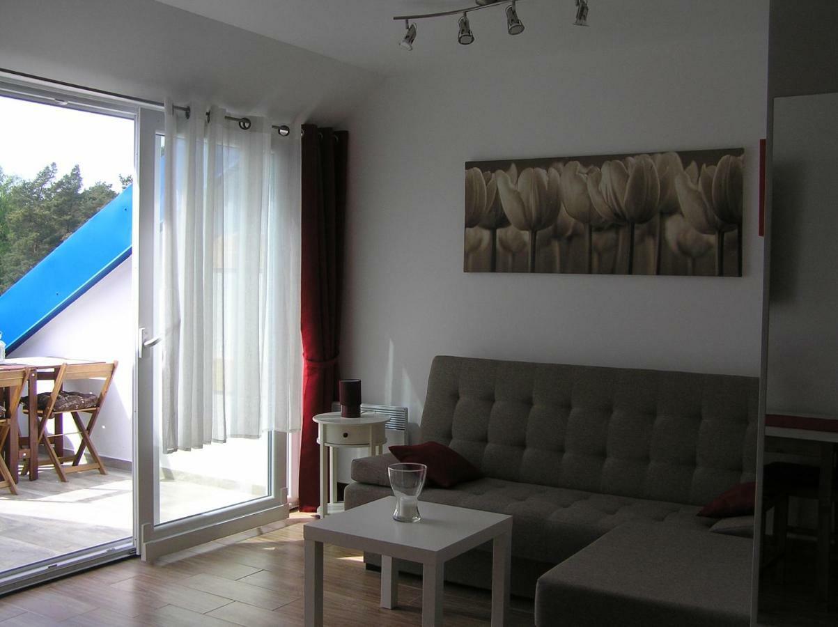 Borowka W Blue Mare Apartment Łukęcin Екстериор снимка